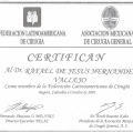 Ampliar imagen: certificate 11