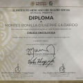 Ampliar imagen: certificate 4