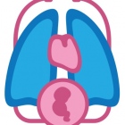 Dr. José Ángel González Sánchez