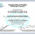 Ampliar imagen: certificate 5