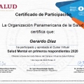Ampliar imagen: certificate 41