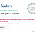 Ampliar imagen: certificate 13