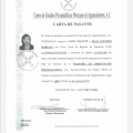Ampliar imagen: certificate 6