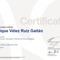Ampliar imagen: certificate 8