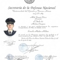 Ampliar imagen: certificate 4