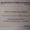 Ampliar imagen: certificate 5
