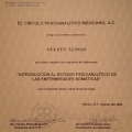 Ampliar imagen: certificate 11