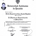 Ampliar imagen: certificate 3