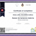 Ampliar imagen: certificate 3