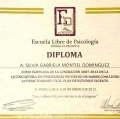 Ampliar imagen: certificate 17