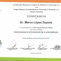Ampliar imagen: certificate 10