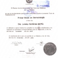 Ampliar imagen: certificate 1