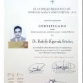 Ampliar imagen: certificate 4
