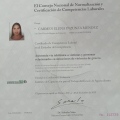 Ampliar imagen: certificate 15