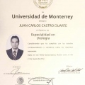 Ampliar imagen: certificate 4