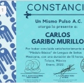 Ampliar imagen: certificate 12