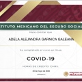Ampliar imagen: certificate 13