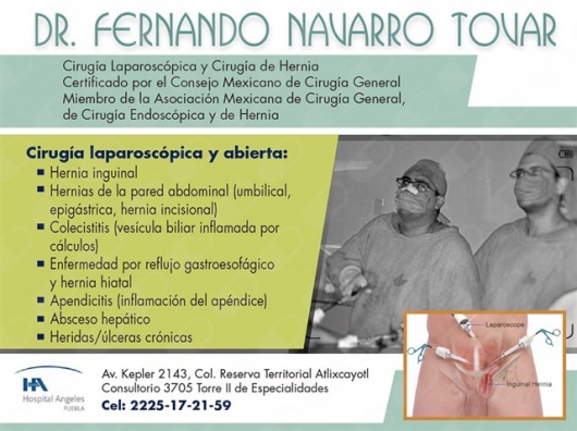 Fernando Navarro Tovar-0