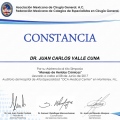 Ampliar imagen: certificate 9