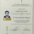 Ampliar imagen: certificate 5