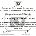 Ampliar imagen: certificate 3
