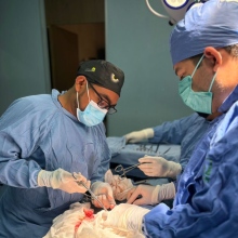 Ampliar imagen: Roberto Carlos Cruz Iturbibe, Ginecólogo San Juan Bautista Tuxtepec