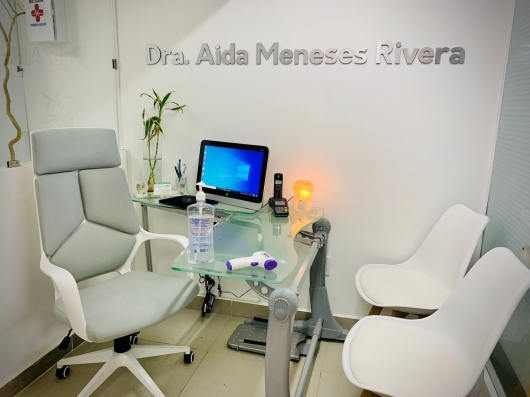 Aida Meneses Rivera-0