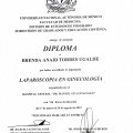 Ampliar imagen: certificate 12