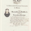 Ampliar imagen: certificate 8