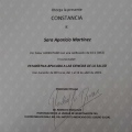 Ampliar imagen: certificate 2