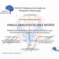 Ampliar imagen: certificate 4