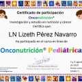 Ampliar imagen: certificate 11