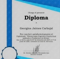 Ampliar imagen: certificate 7