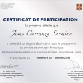 Ampliar imagen: certificate 9
