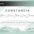Ampliar imagen: certificate 8