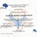 Ampliar imagen: certificate 8