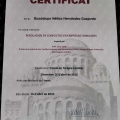 Ampliar imagen: certificate 25