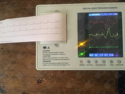 Abraham Solis Viveros-5