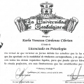 Ampliar imagen: certificate 7