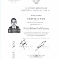 Ampliar imagen: certificate 5