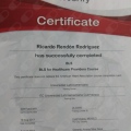 Ampliar imagen: certificate 1