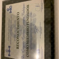 Ampliar imagen: certificate 5