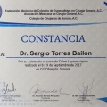 Ampliar imagen: certificate 13