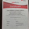 Ampliar imagen: certificate 9