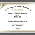 Ampliar imagen: certificate 5
