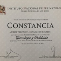 Ampliar imagen: certificate 12