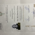 Ampliar imagen: certificate 3