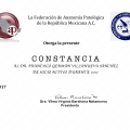 Ampliar imagen: certificate 2