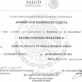 Ampliar imagen: certificate 3