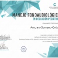 Ampliar imagen: certificate 7